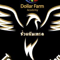 Together Trading-Dollar Farm