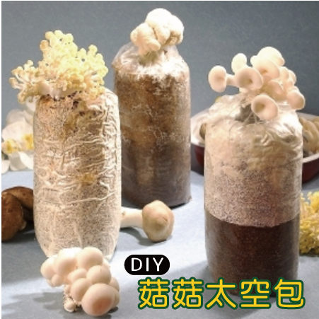 栽種樂 菇菇 DIY 8包(太空包)+4外盒 免運