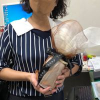 京城權貴