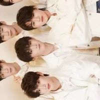三代群tf家族