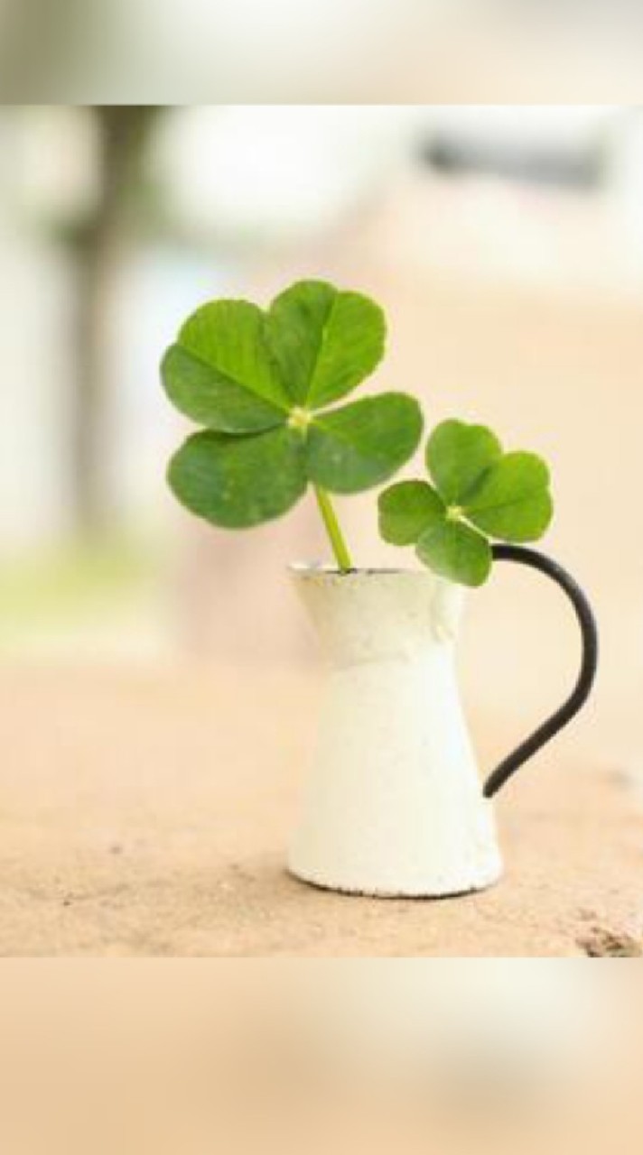 雑談で気分転換🌿‬空いてる時間に話そ(*ˊᵕˋ*♡🌿30才以上限定部屋