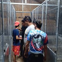 🙏ขออนุญาตแอดมิน  จีสมิธ ฟาร์ม🐓