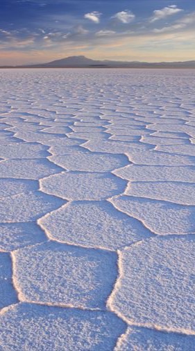 tsubuyaki en español