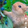 ちろぴの大好きなみんな集まって〜楽しいことも悲しいことも全部共有しよ〜アンチしたら即強制退会します!