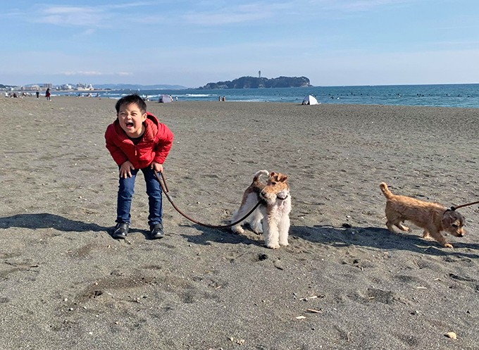 ダウン症の小学生を支えるテリア犬は 兄であり弟であり親友 ニッポン放送 News