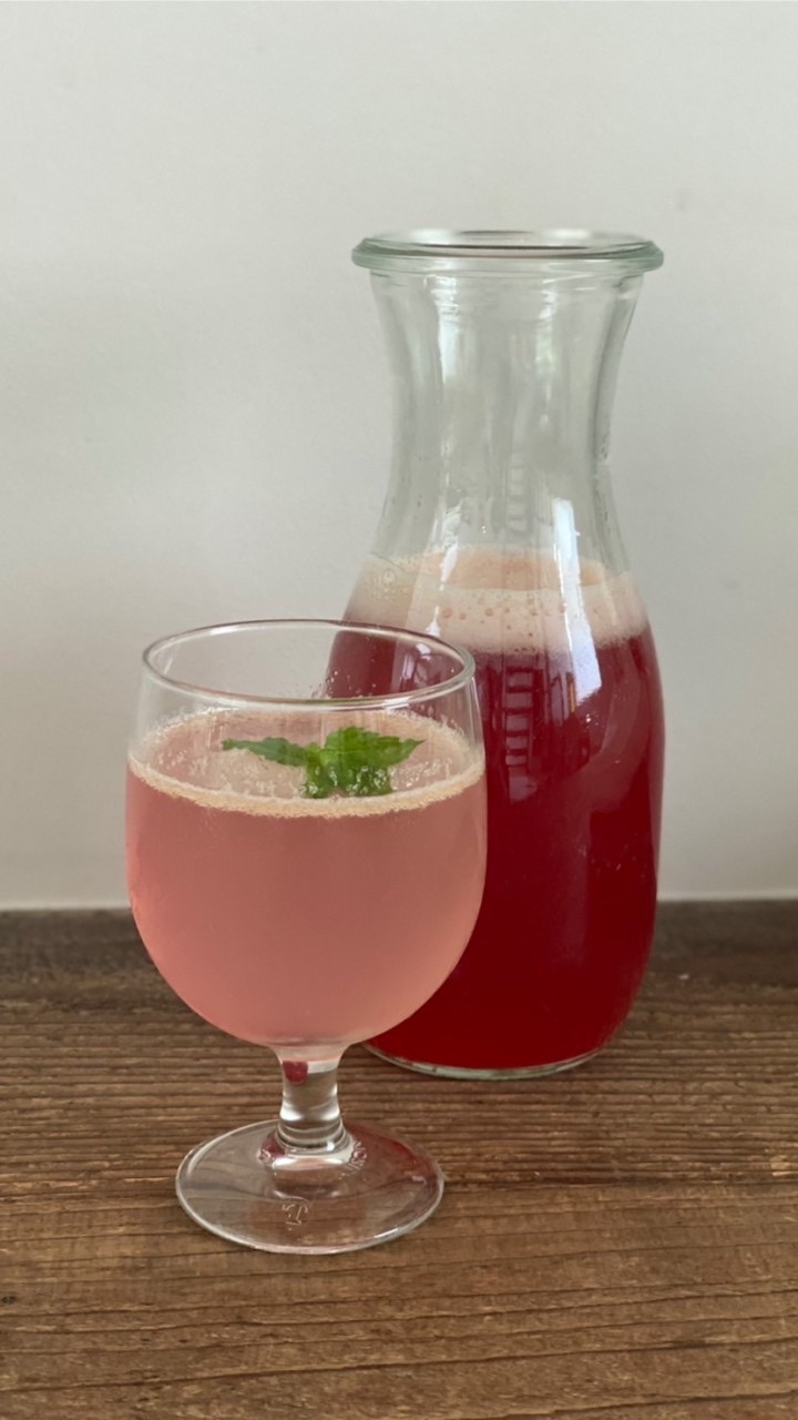 発酵クラブ