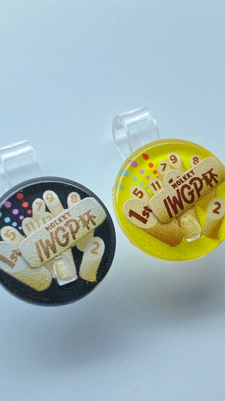 IWGP杯 チーム戦　3.12