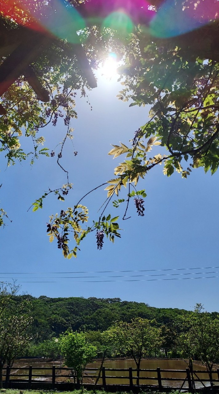 香氣療癒撫慰你的心