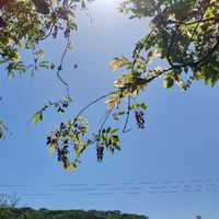 香氣療癒撫慰你的心