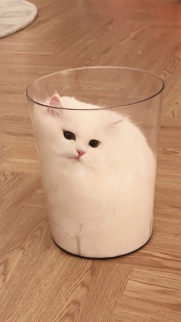 喇賽群