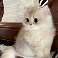 垢抜け❤︎ダイエット