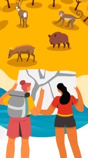 Support the Rangers, Save the Forest: Year 12
