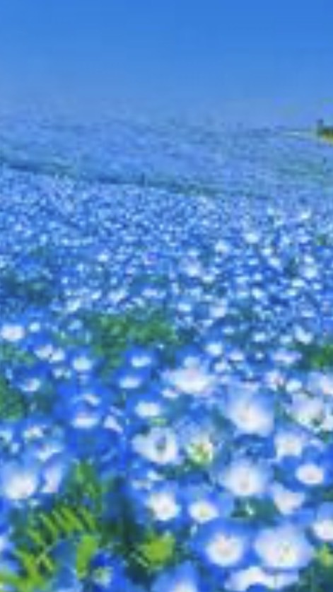 50代60代70代〜一人暮らし〜