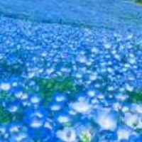 50代60代70代〜一人暮らし〜