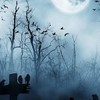 特別な夜を＿.【usss.ハロウィン.也】