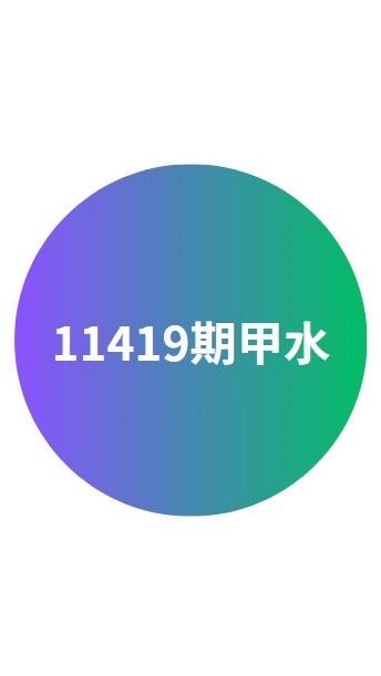 11419甲水