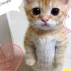 ห้องคนเหงาโสด โดนเท อกหัก คุยได้ห้องคนเหงาโสด โดนเท แฟน