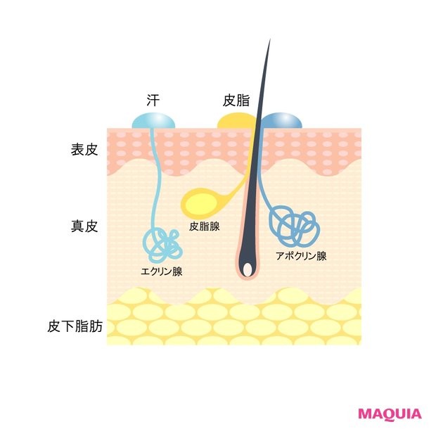 もしかしてワキガ 歳をとるとニオイの質が変わる 専門家に聞く ニオイの原因と対策