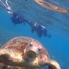陽光浮潛 照片區
