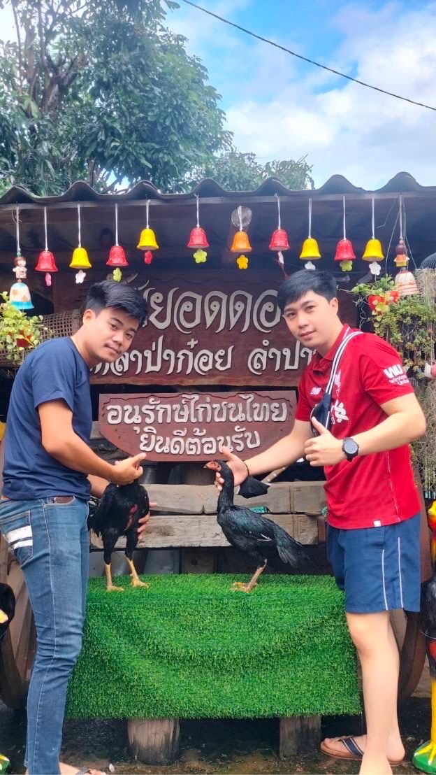 ซุ้ม เพชรมงคล ป่าก๋อยสายทุบ