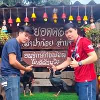 ซุ้ม เพชรมงคล ป่าก๋อยสายทุบ