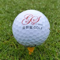 自由球敘～跟著金軒閣一起打球去