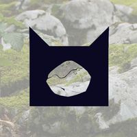 貓戰士-苔族
