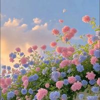 🍓おしゃべり茶屋🍵☕️ をしてAI作成やYouTubeを見たり、一緒にゆっくりお話しましょう
