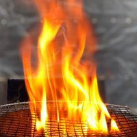 FIRE🔥競艇予想配信