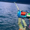 今今船釣鮮🎣