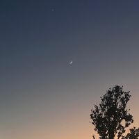 小老闆們聚集地