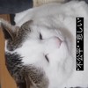 DC緩也🕵️ハントかよ⁉️