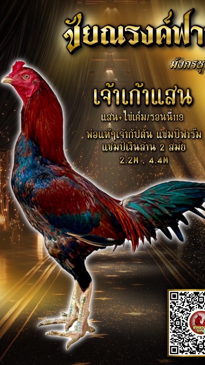 แนวทางไก่ชน