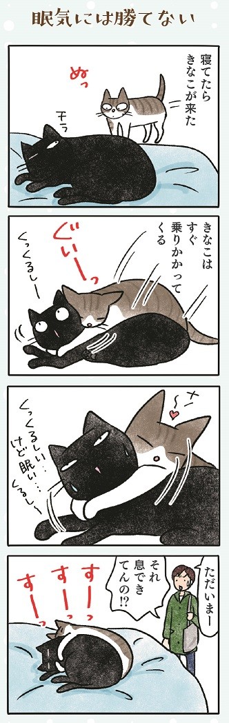 高いところが苦手 カゴにも上手く入れない 黒猫ナノ のちょっぴりドジな日常 ダ ヴィンチweb