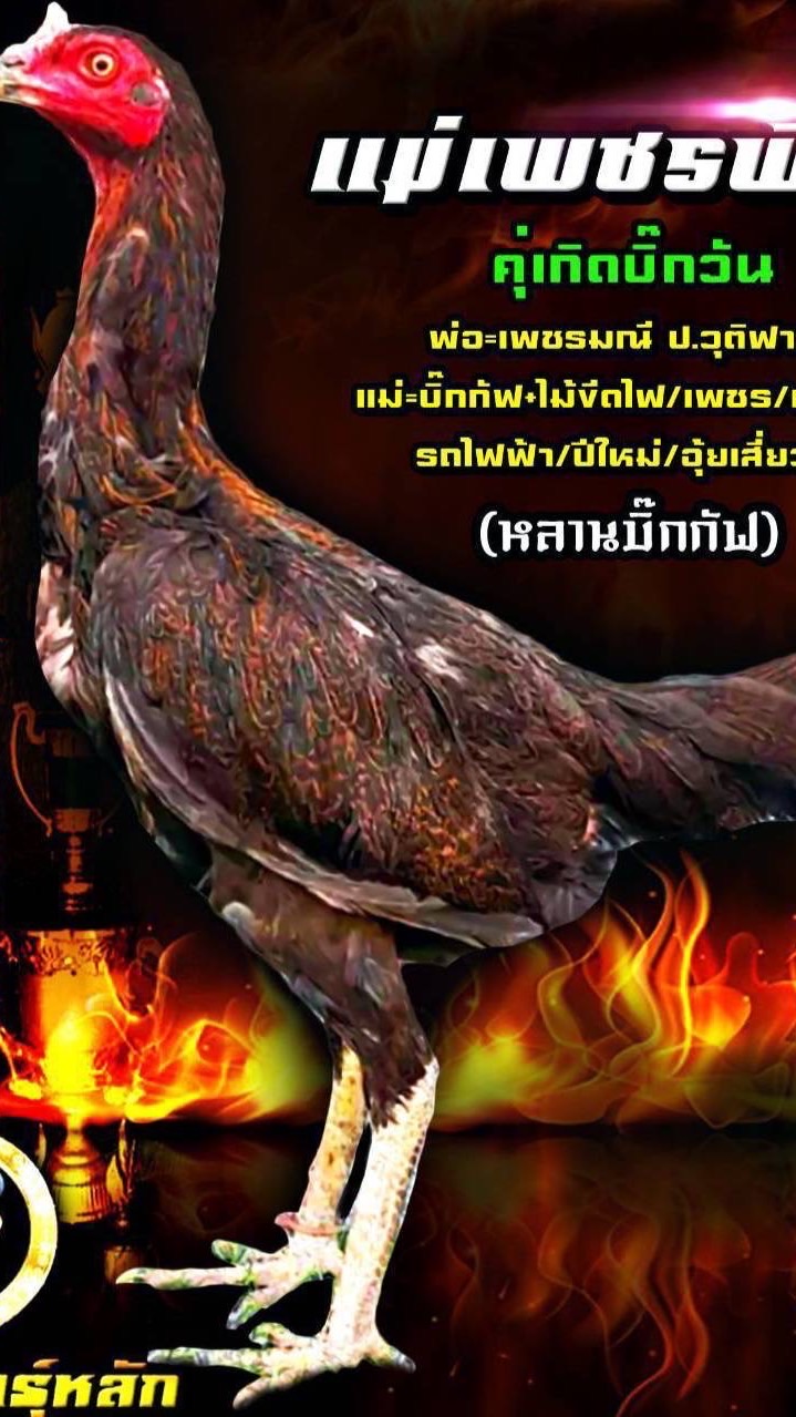 ส.สุวดี ฟาร์ม