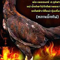 ส.สุวดี ฟาร์ม