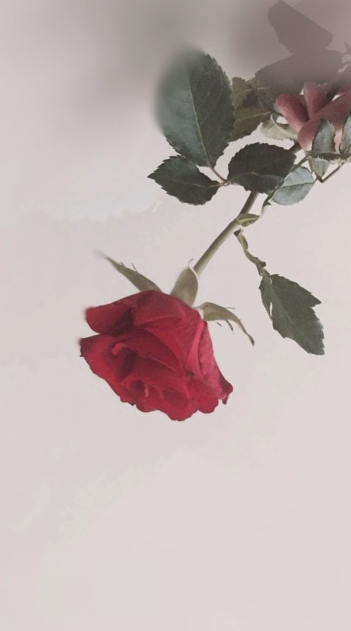 人生等価交換！♡全緩夢ハント
