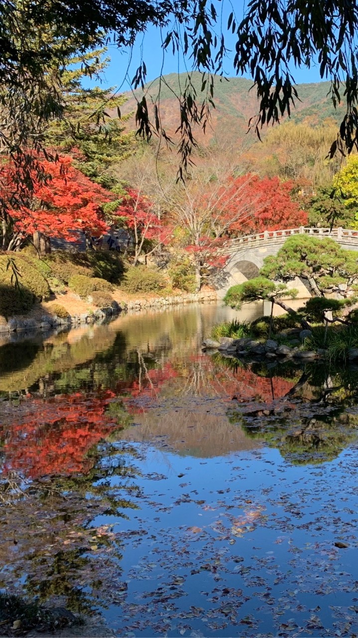 靜冠愛旅行與好朋友分享