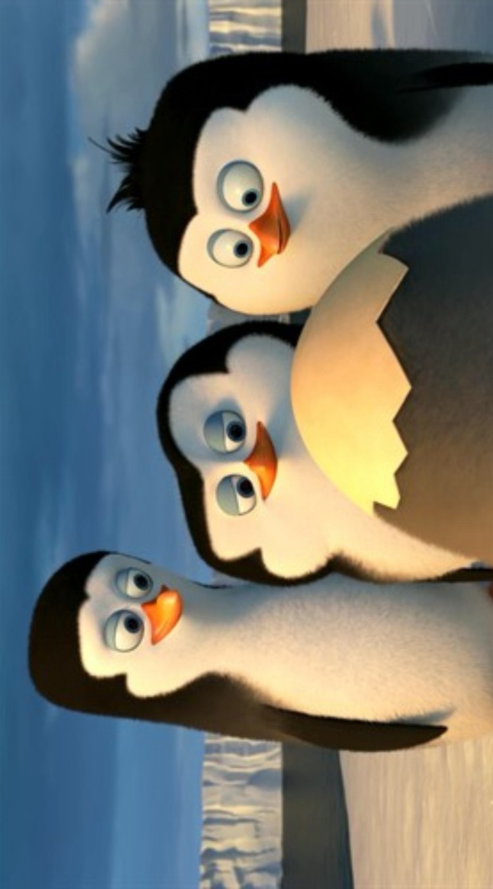 企鵝去旅行：赤道篇🐧🏖