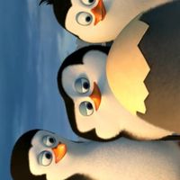 企鵝去旅行：赤道篇🐧🏖