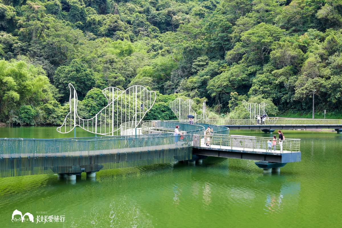 宜蘭不只抹茶山！８條私房步道衝打卡：CNN全球最美、瀑布祕境、15分鐘登頂