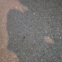 帥哥妹紙聊天💬/處cp/玩真冒/掛睡🛌🏻/放閃/互追哀居