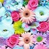 【公式】🎀無料お小遣い案件案内所💰