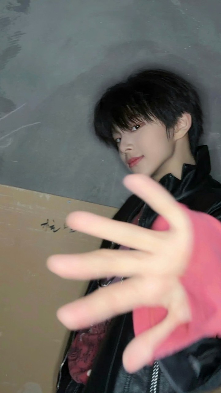 🦊  比  比  罕  🦊