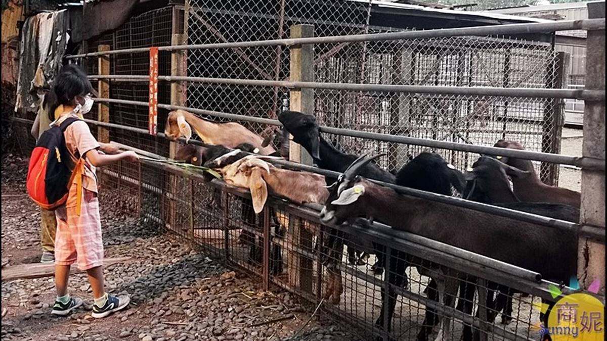 爸媽周末免煩惱！台中10大最強親子景點：破千坪室內樂園、免門票小小駕訓班