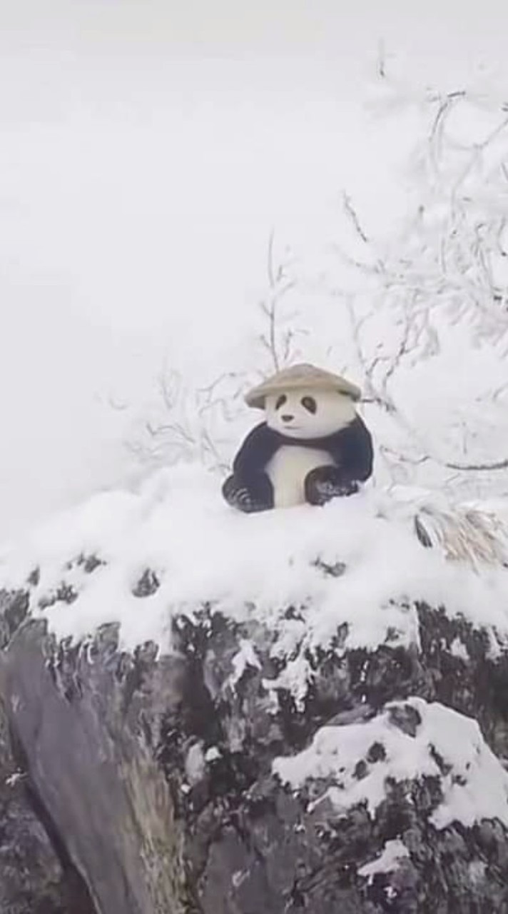 真理殿堂