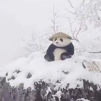真理殿堂