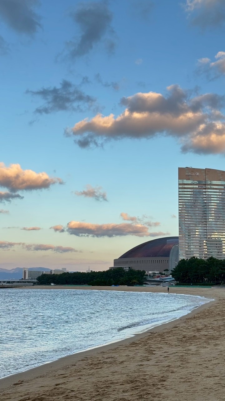 楷_日本代購群✈️