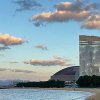 楷_日本代購群✈️