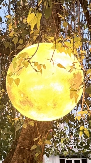 ปฏิบัติธรรม 3-6 มี.ค. 69 วัดสารอด